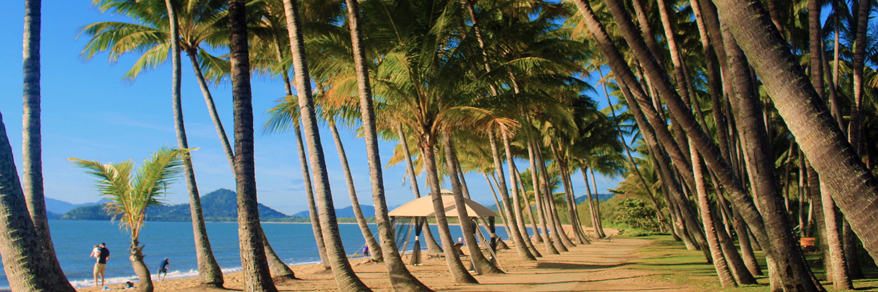 palmcove_full_hdr5