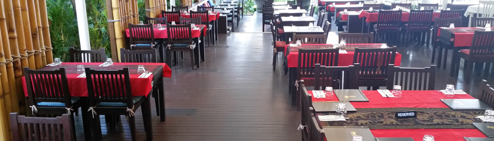 Choc Dee gallery link