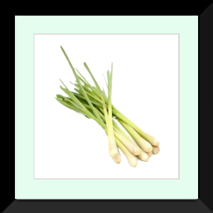 Lemongrass