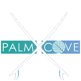 palm cove boards device