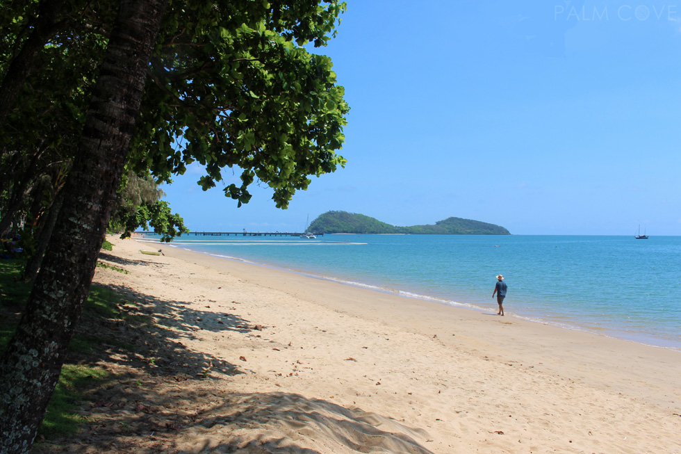 Palm Cove main beach stretch looking north