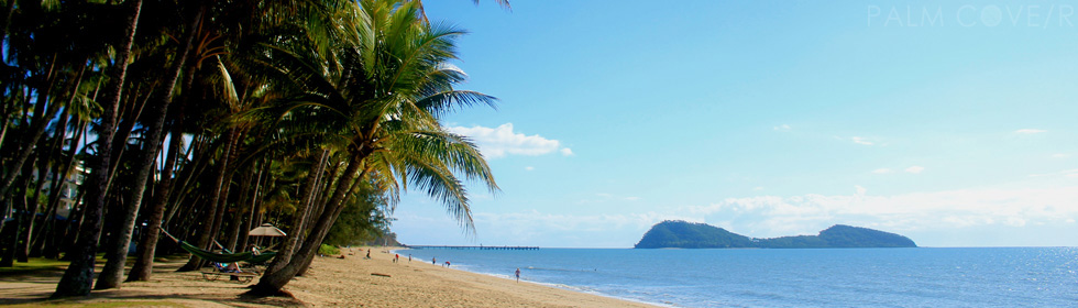 Palm Cove gallery link