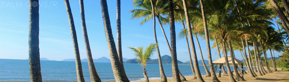 Palm Cove classic 