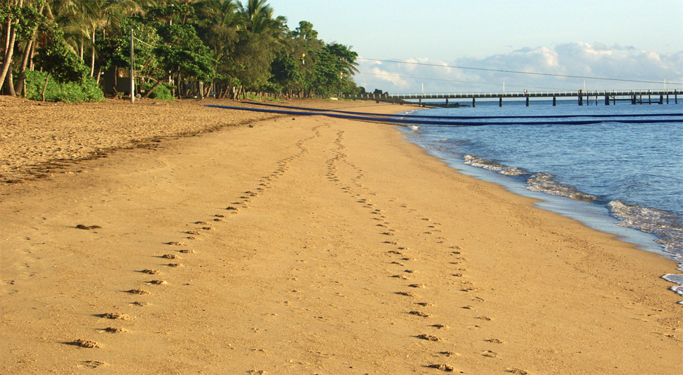 Palm Cove beach view north aspect