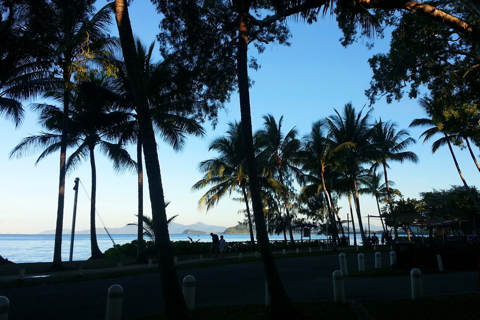 Palm Cove evening view in front of the restaurant