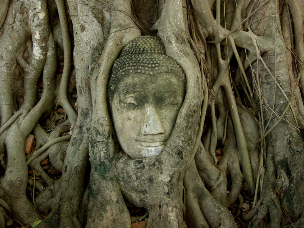 Wat Mahathat 2 Ayutthaya